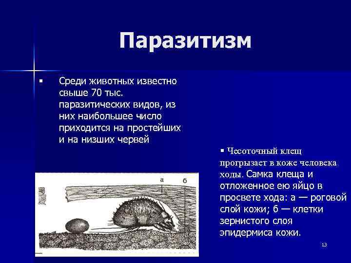 Паразитизм § Среди животных известно свыше 70 тыс. паразитических видов, из них наибольшее число