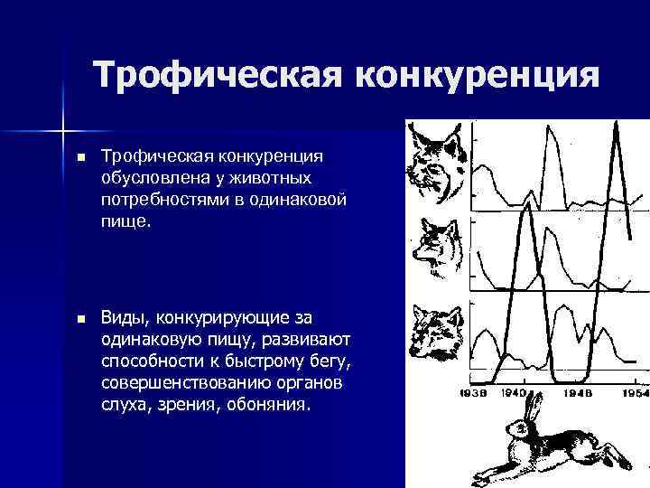 Конкуренция связь. Трофическая конкуренция примеры. Трофическая конкуренция обусловлена. Топическая конкуренция примеры. Конкуренция межвидовые трофическая.