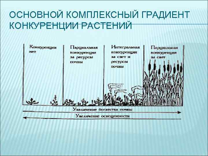 Механизмы растений. Конкуренция растений. Схема конкуренции растений. Основной комплексный градиент конкуренции. Конкуренция у высших растений.