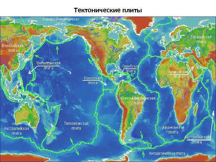 Тектонические плиты 8 