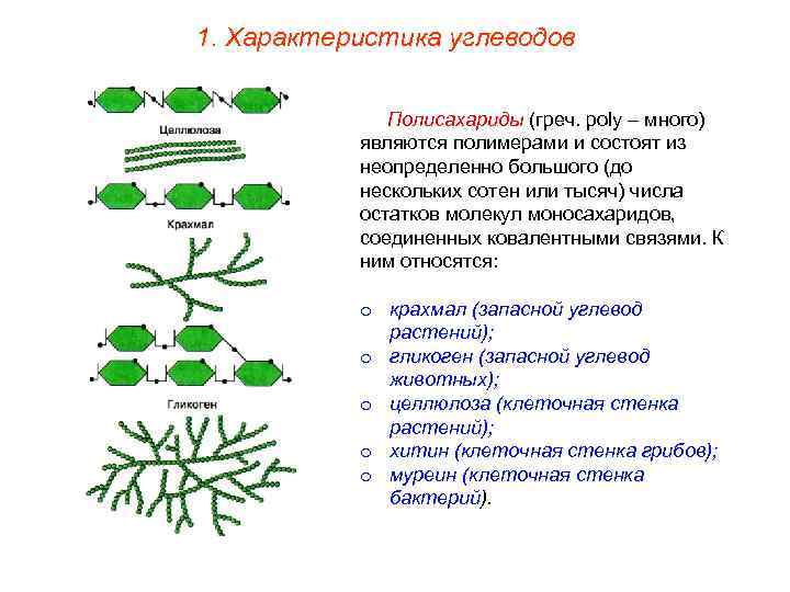 1. Характеристика углеводов Полисахариды (греч. poly – много) являются полимерами и состоят из неопределенно