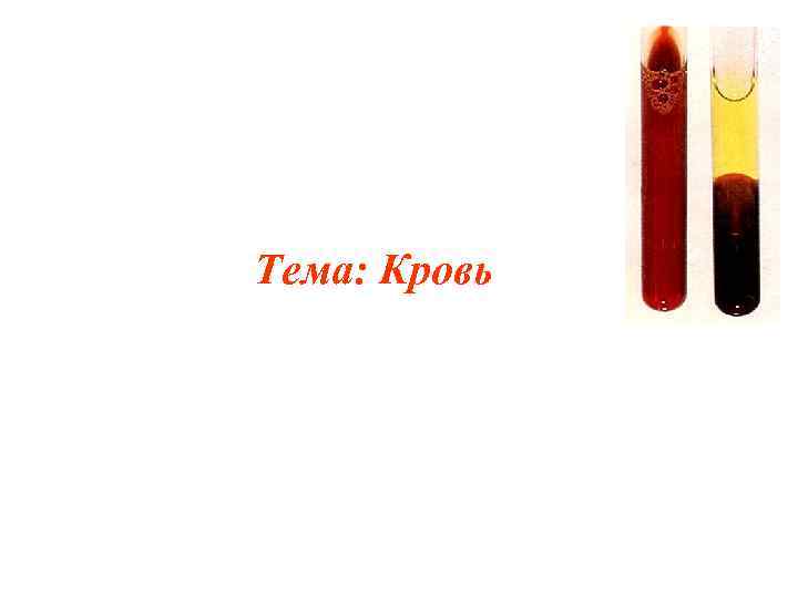Тема: Кровь 
