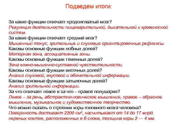 Подведем итоги: За какие функции отвечает продолговатый мозг? Регуляция деятельности пищеварительной, дыхательной и кровеносной