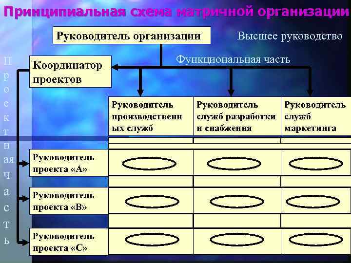 Принципиальная схема матричной организации Руководитель организации П р о е к т н ая
