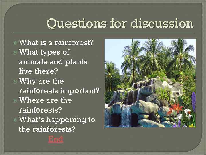 Questions for discussion What is a rainforest? What types of animals and plants live