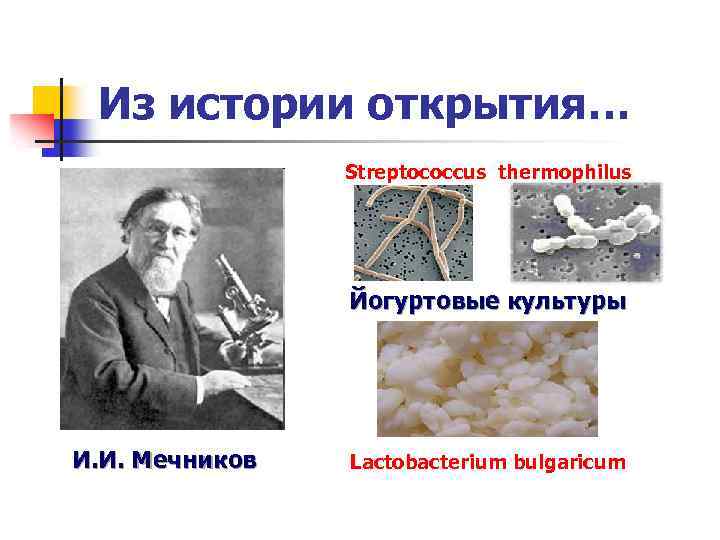 Из истории открытия… Streptococcus thermophilus Йогуртовые культуры И. И. Мечников Lactobacterium bulgaricum 