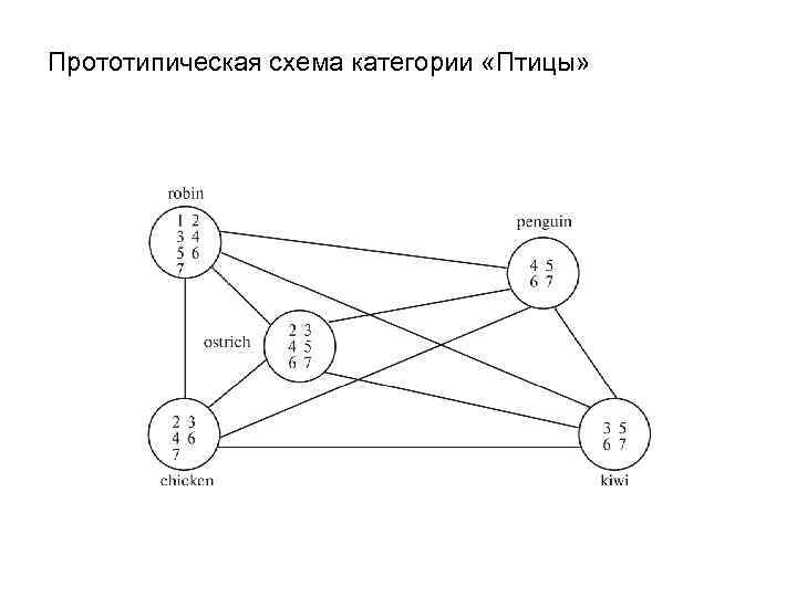 Прототипическая схема категории «Птицы» 