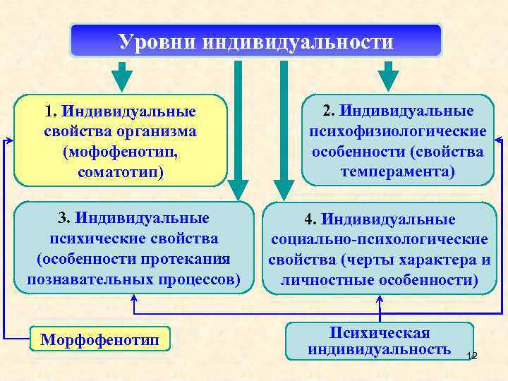 Уровни индивидуальности 1. Индивидуальные свойства организма (мофофенотип, соматотип) 3. Индивидуальные психические свойства (особенности протекания