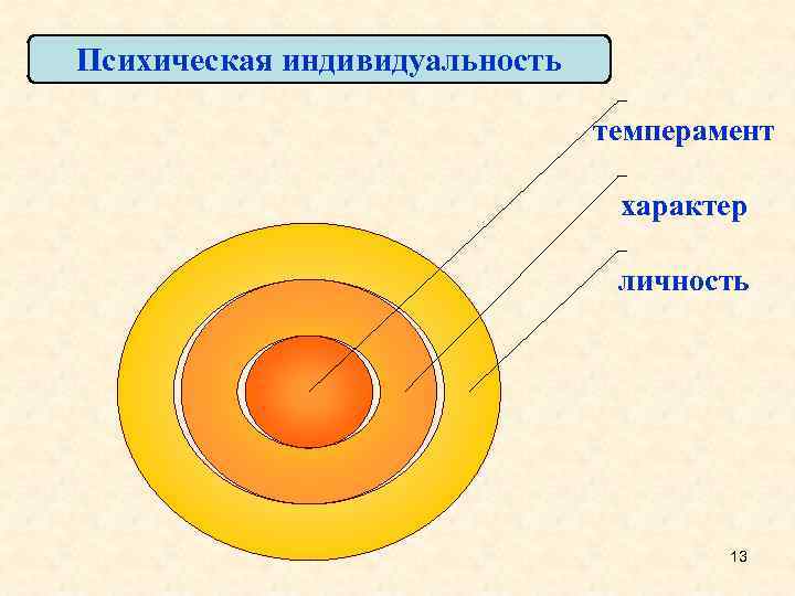 Психическая индивидуальность темперамент характер личность 13 
