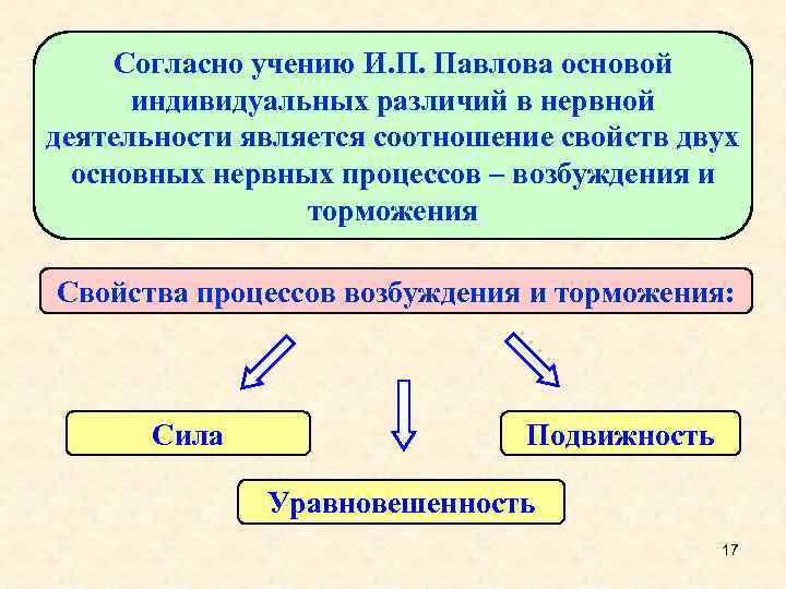 Согласно учению И. П. Павлова основой индивидуальных различий в нервной деятельности является соотношение свойств