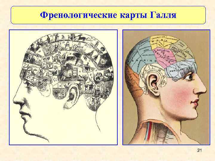 Френологические карты Галля 21 