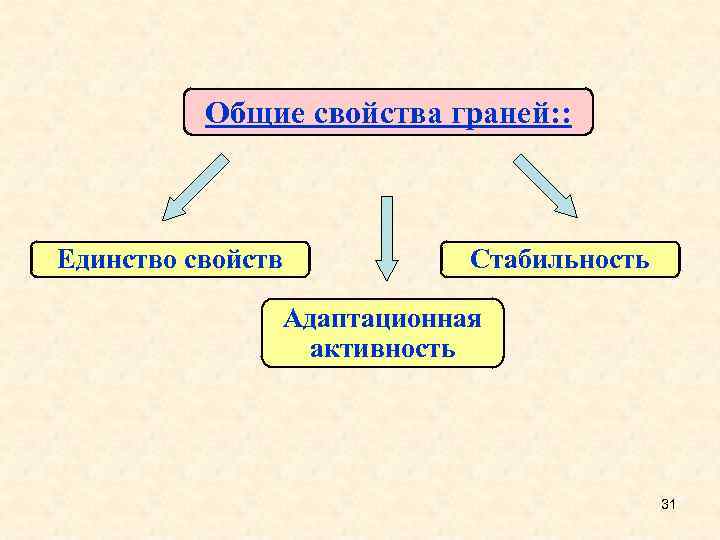 Общие свойства граней: : Единство свойств Стабильность Адаптационная активность 31 