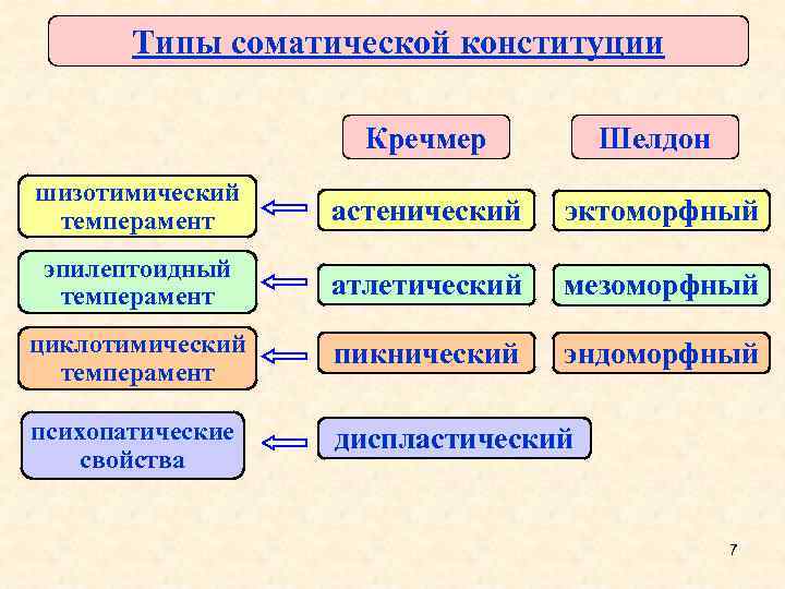 Типы соматической конституции Кречмер Шелдон шизотимический темперамент астенический эктоморфный эпилептоидный темперамент атлетический мезоморфный циклотимический