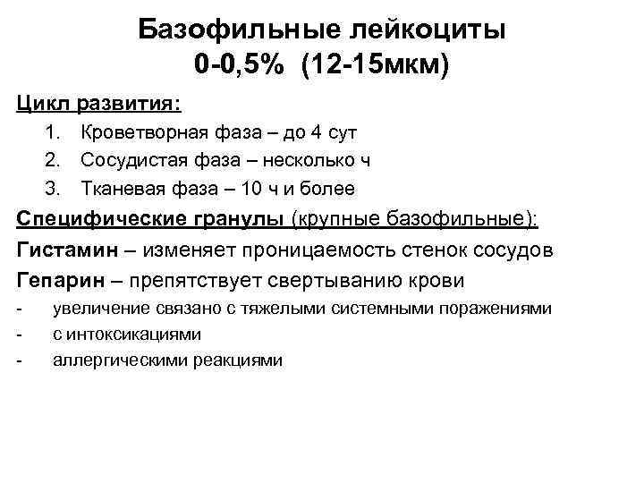 Базофильные лейкоциты 0 -0, 5% (12 -15 мкм) Цикл развития: 1. Кроветворная фаза –