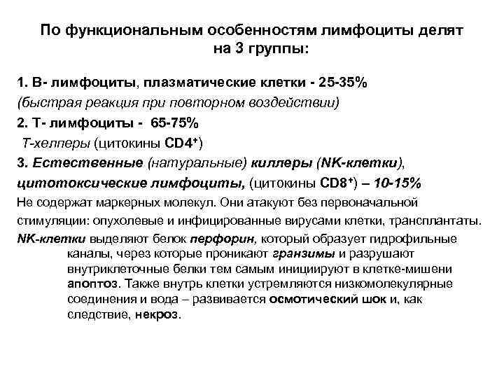 По функциональным особенностям лимфоциты делят на 3 группы: 1. В- лимфоциты, плазматические клетки -