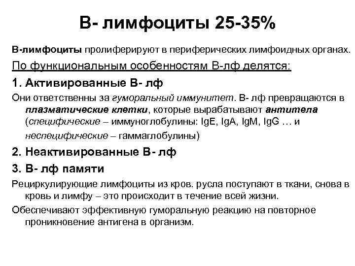 В- лимфоциты 25 -35% В-лимфоциты пролиферируют в периферических лимфоидных органах. По функциональным особенностям В-лф