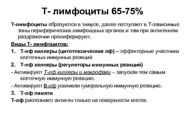 Т- лимфоциты 65 -75% Т-лимфоциты образуются в тимусе, далее поступают в Т-зависимые зоны периферических