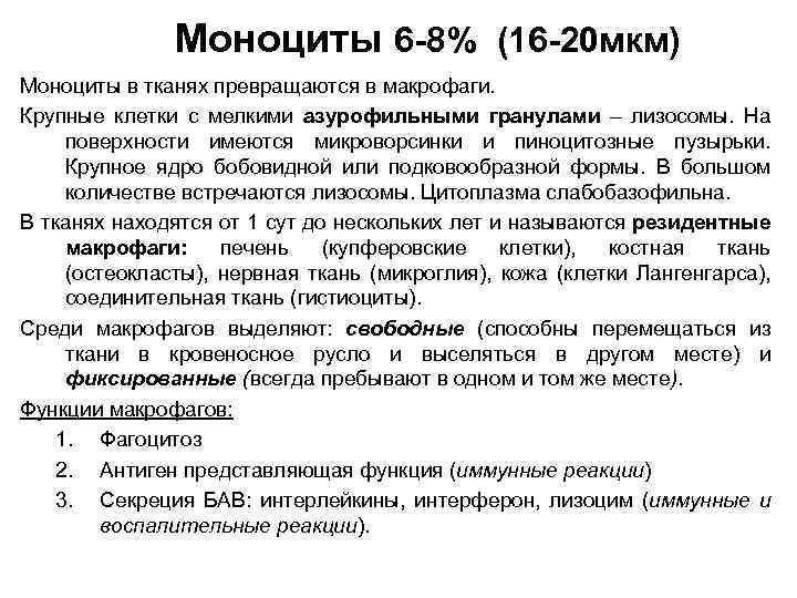 Моноциты 6 -8% (16 -20 мкм) Моноциты в тканях превращаются в макрофаги. Крупные клетки