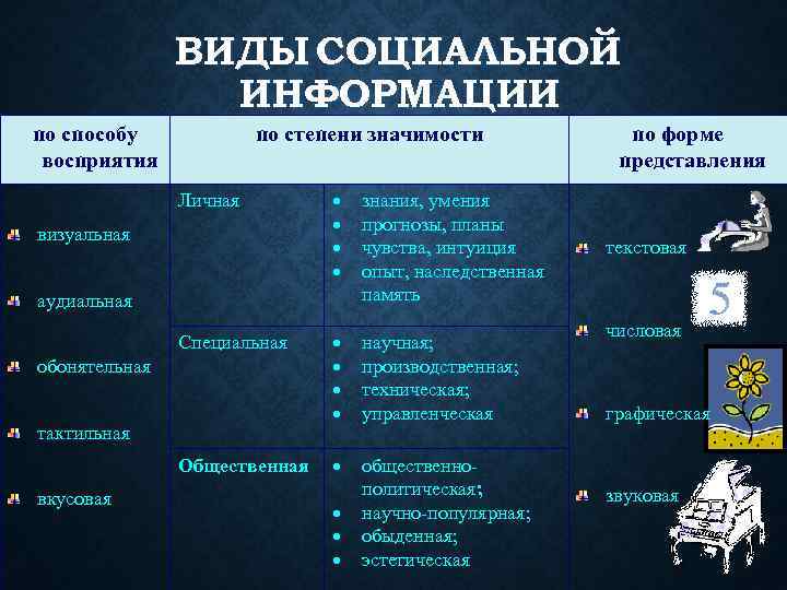 Виды социальной информации