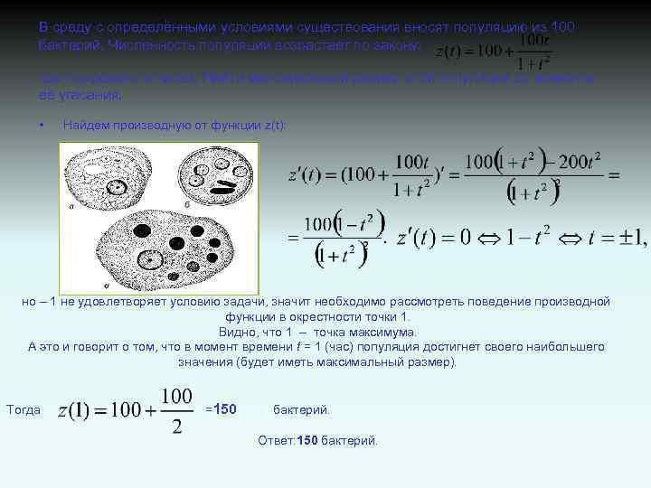 В следующие моменты времени. Размер популяции определяется. Пусть популяция бактерий в момент. Математическая модель бактерии. Пусть численность популяции бактерий описывается функцией p t 100+50 t2.