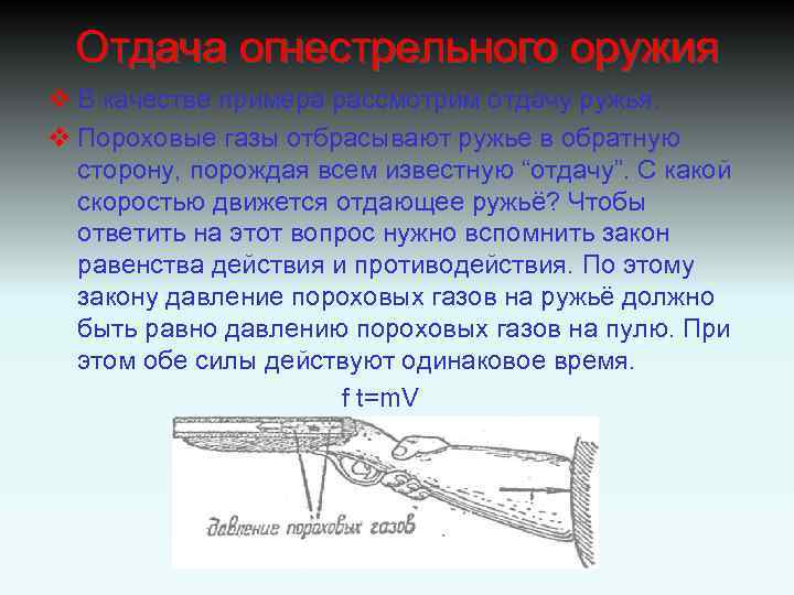 Отдача огнестрельного оружия v В качестве примера рассмотрим отдачу ружья. v Пороховые газы отбрасывают