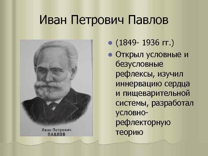 Иван Петрович Павлов (1849 - 1936 гг. ) l Открыл условные и безусловные рефлексы,