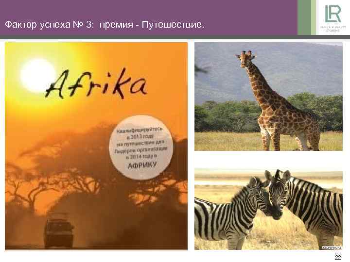 Фактор успеха № 3: премия - Путешествие. 22 