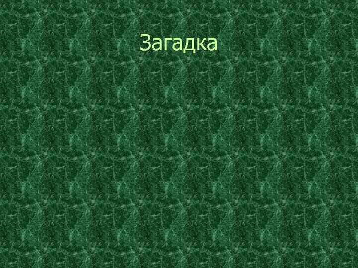 Загадка 