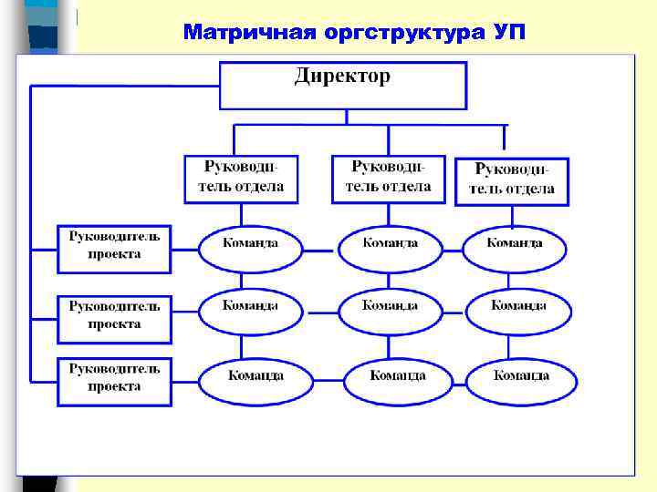 Матричная оргструктура УП 