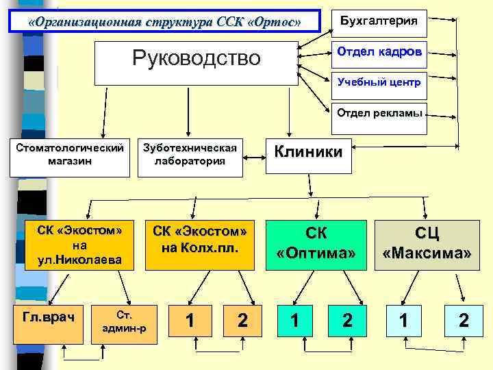  «Организационная структура ССК «Ортос» Бухгалтерия Отдел кадров Руководство Учебный центр Отдел рекламы Стоматологический