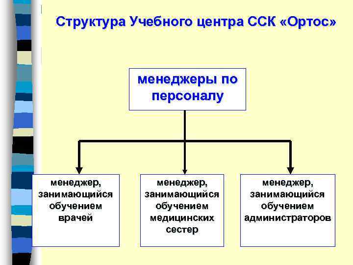 Структура Учебного центра ССК «Ортос» менеджеры по персоналу менеджер, занимающийся обучением врачей менеджер, занимающийся