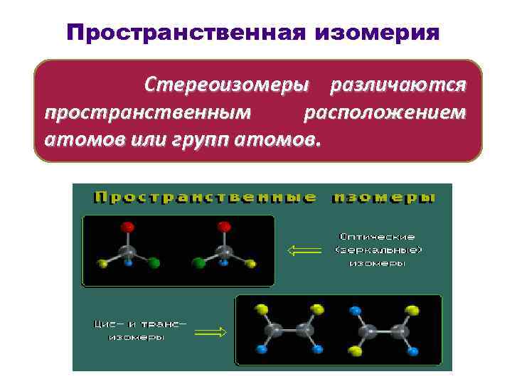 Пространственная изомерия Стереоизомеры различаются пространственным расположением атомов или групп атомов. 