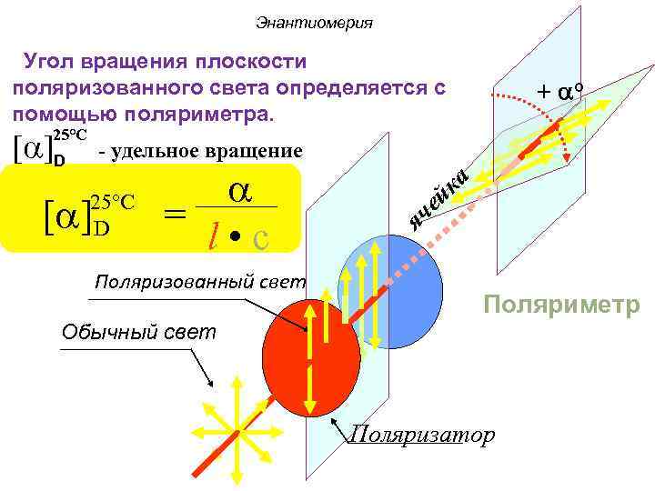 Энантиомерия Угол вращения плоскости поляризованного света определяется с помощью поляриметра. 25°C [a]D + °