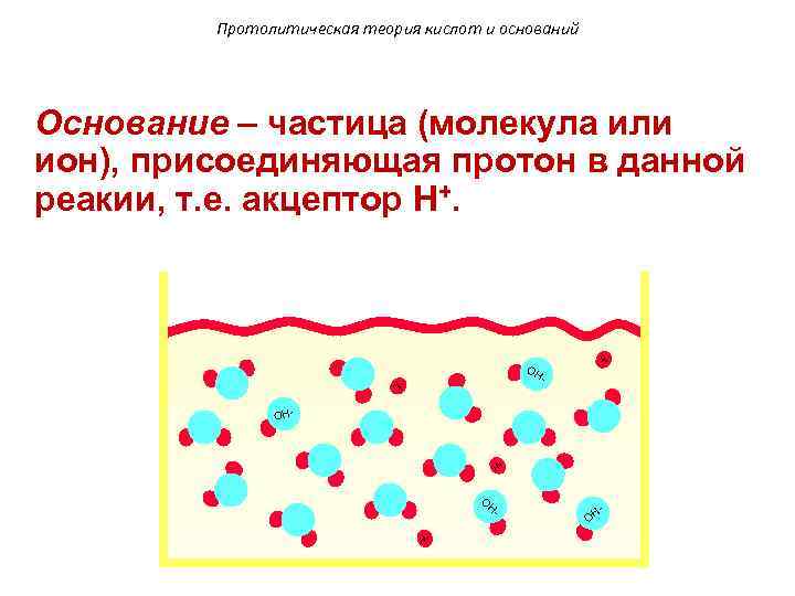 Протолитическая теория кислот и оснований Основание – частица (молекула или ион), присоединяющая протон в