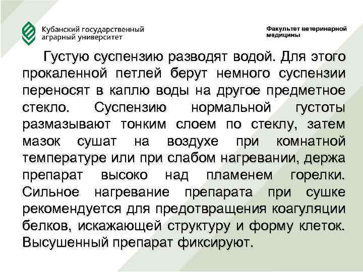  Густую суспензию разводят водой. Для этого прокаленной петлей берут немного суспензии переносят в