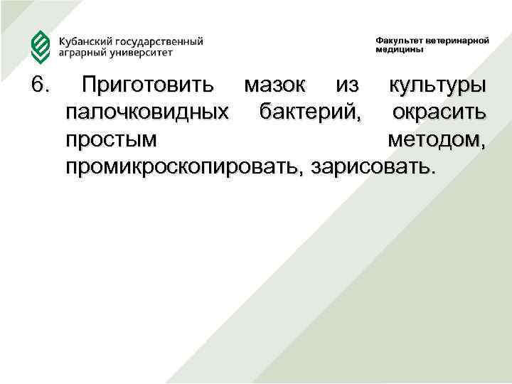 6. Приготовить мазок из культуры палочковидных бактерий, окрасить простым методом, промикроскопировать, зарисовать. 