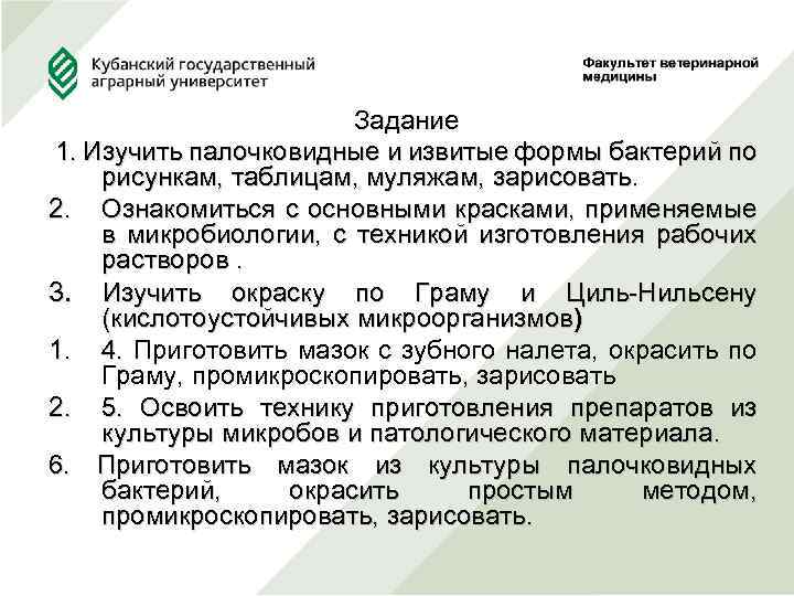  Задание 1. Изучить палочковидные и извитые формы бактерий по рисункам, таблицам, муляжам, зарисовать.