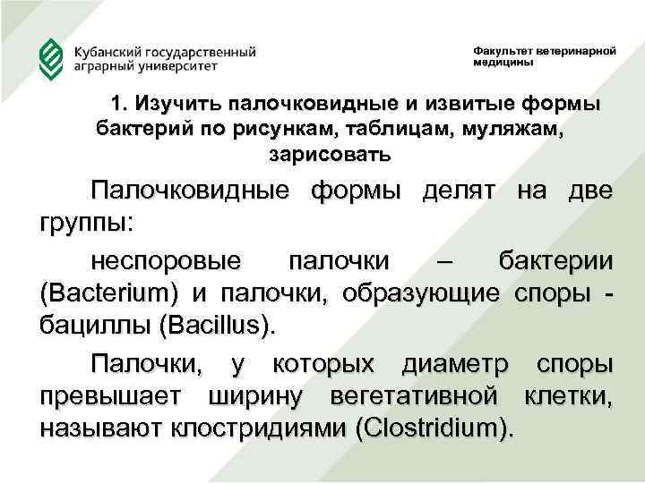  1. Изучить палочковидные и извитые формы бактерий по рисункам, таблицам, муляжам, зарисовать Палочковидные