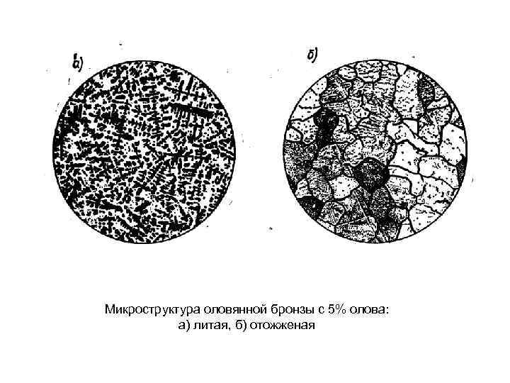 Микроструктура какого сплава представлена на рисунке