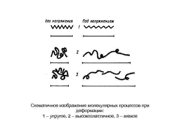 Схематичное изображение молекулярных процессов при деформации: 1 – упругое, 2 – высокоэластичное, 3 –
