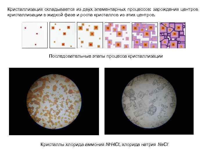 Схема хода лучей в биологическом микроскопе при изучении кристаллизации капли раствора соли