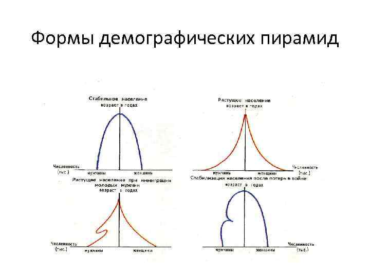 Формы демографических пирамид 