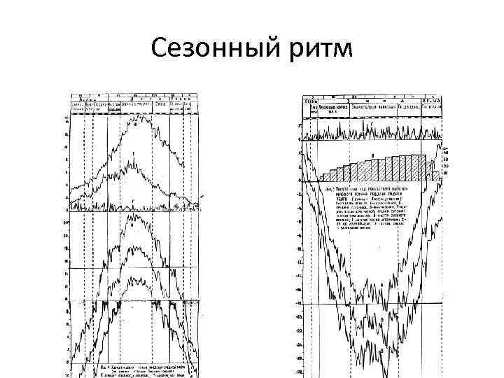 Сезонный ритм 