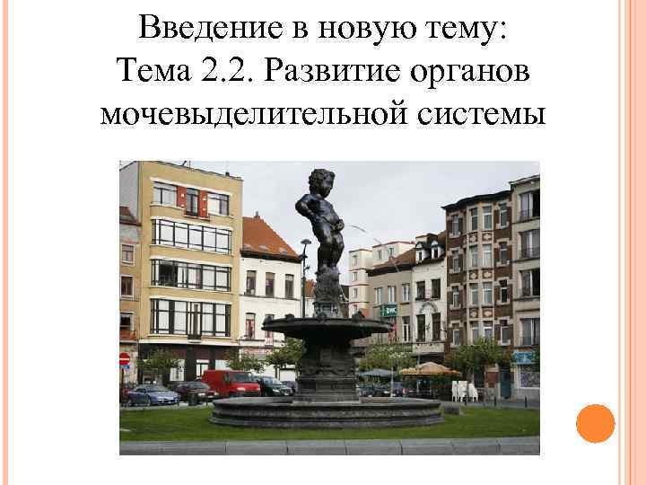 Введение в новую тему: Тема 2. 2. Развитие органов мочевыделительной системы 