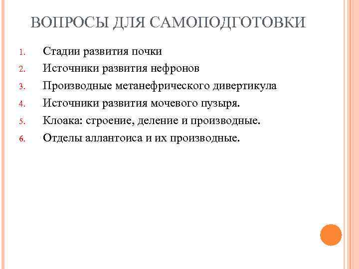 ВОПРОСЫ ДЛЯ САМОПОДГОТОВКИ 1. 2. 3. 4. 5. 6. Стадии развития почки Источники развития