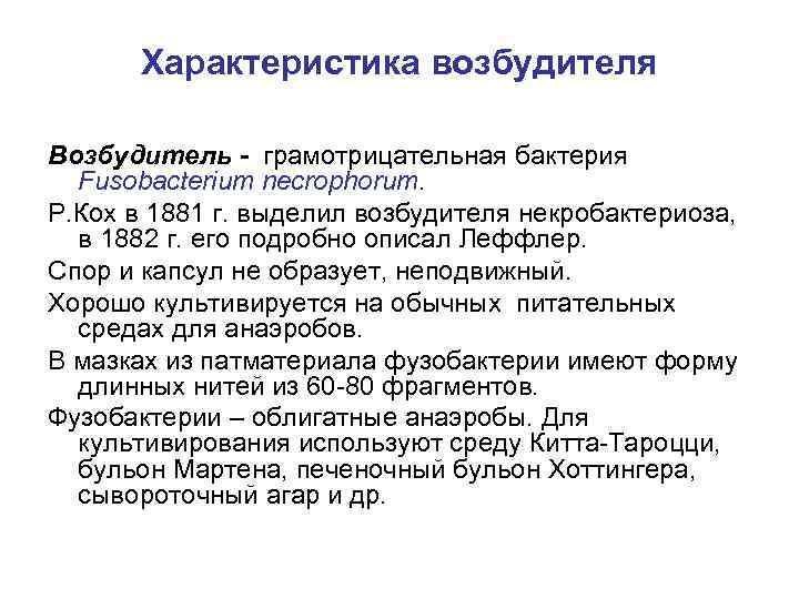 Характеристика возбудителя Возбудитель - грамотрицательная бактерия Fusobacterium necrophorum. Р. Кох в 1881 г. выделил