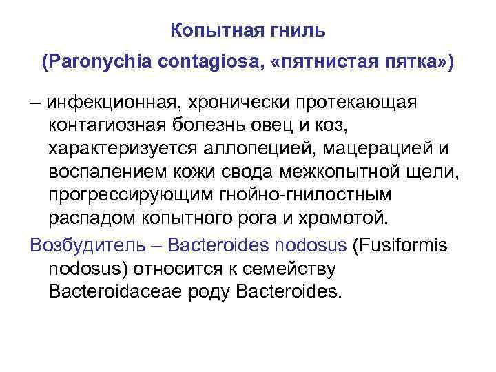 Копытная гниль (Paronychia contagiosa, «пятнистая пятка» ) – инфекционная, хронически протекающая контагиозная болезнь овец