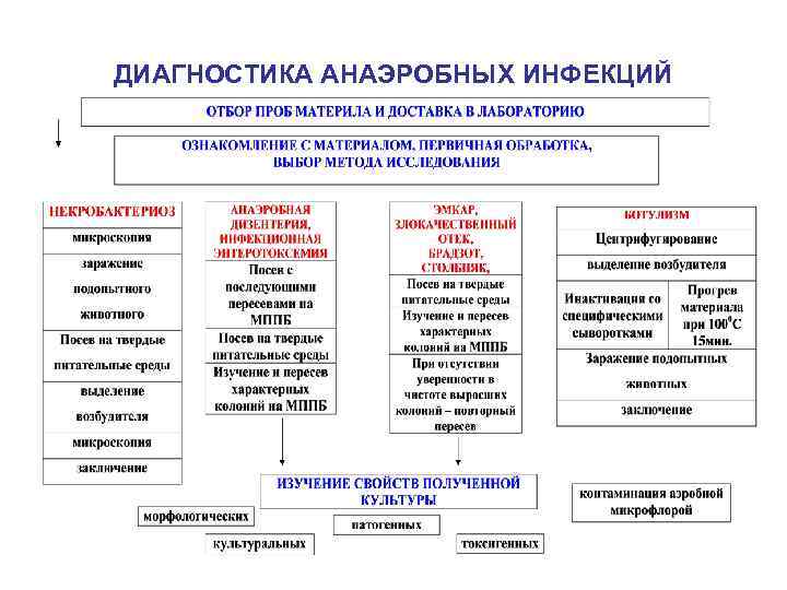 ДИАГНОСТИКА АНАЭРОБНЫХ ИНФЕКЦИЙ 