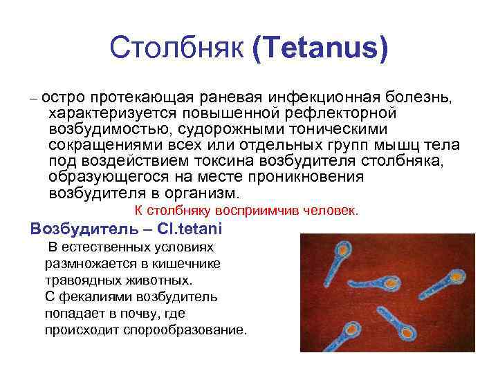 Столбняк (Tetanus) – остро протекающая раневая инфекционная болезнь, характеризуется повышенной рефлекторной возбудимостью, судорожными тоническими