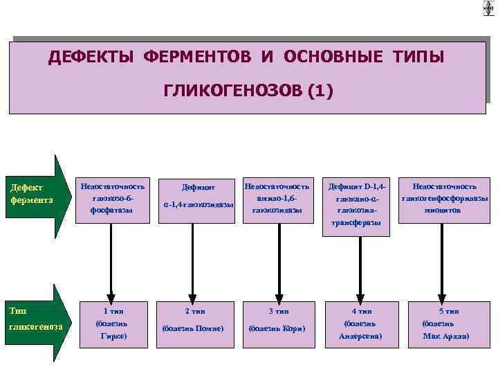 ДЕФЕКТЫ ФЕРМЕНТОВ И ОСНОВНЫЕ ТИПЫ ГЛИКОГЕНОЗОВ (1) Дефект фермента Тип гликогеноза Недостаточность глюкозо-6 фосфатазы